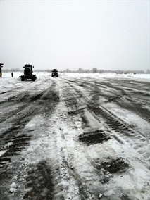 Picture 1